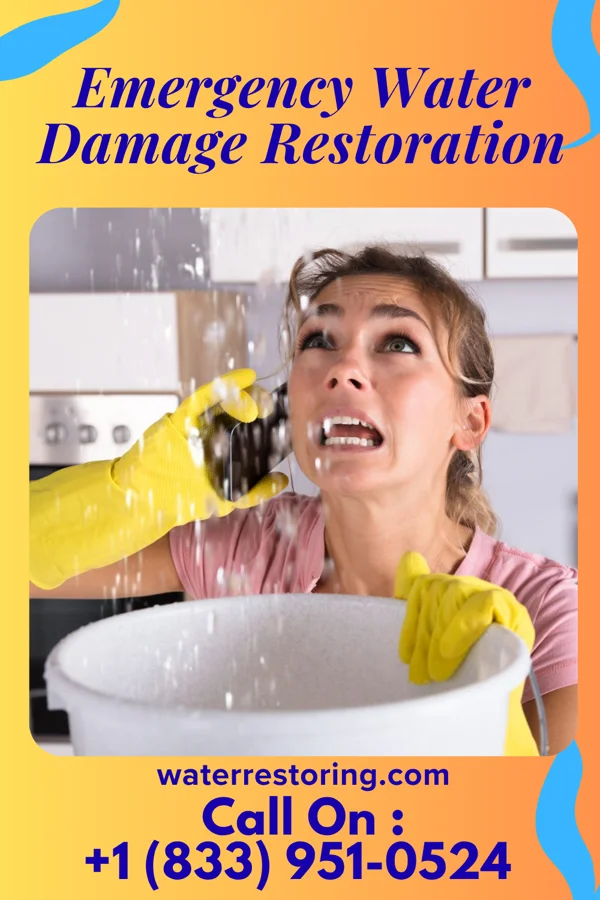 Emergency Water Damage Restoration in Highland Acres, DE